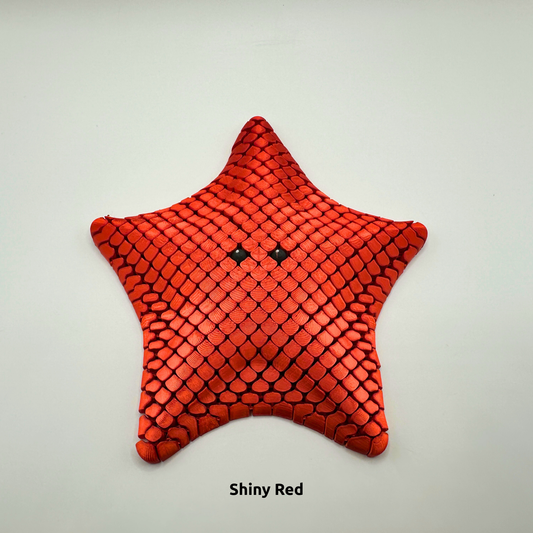 Sea Star Sensory Fidget