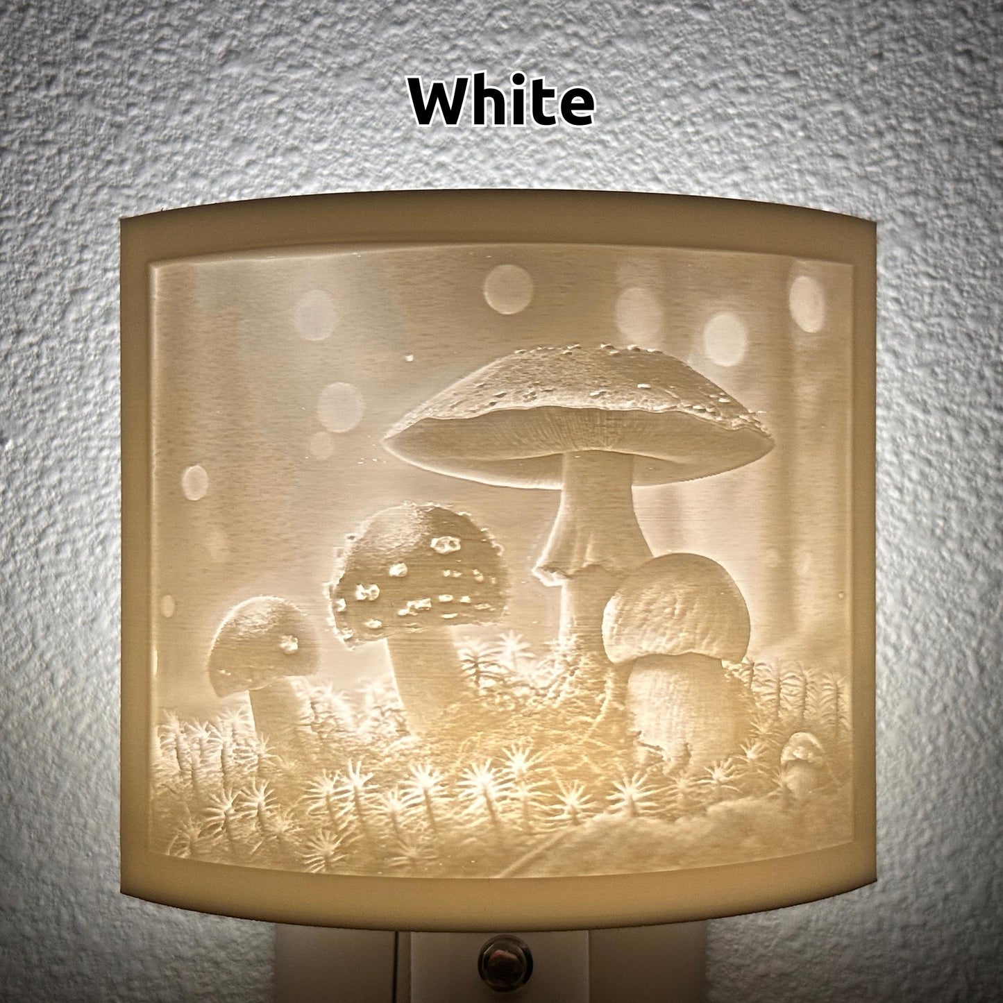 Mushrooms in a Forest Night Light