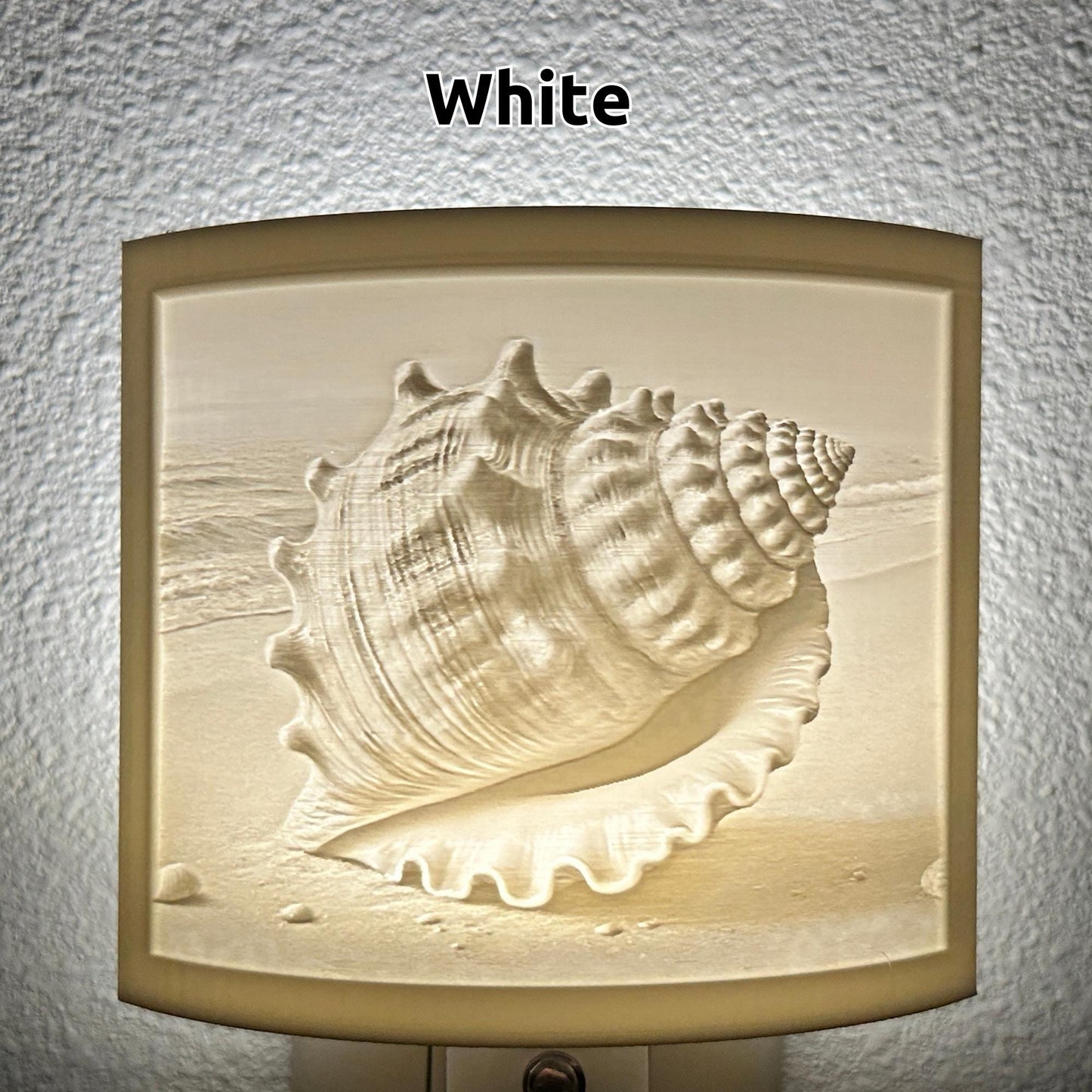 Seashell Beach Night Light
