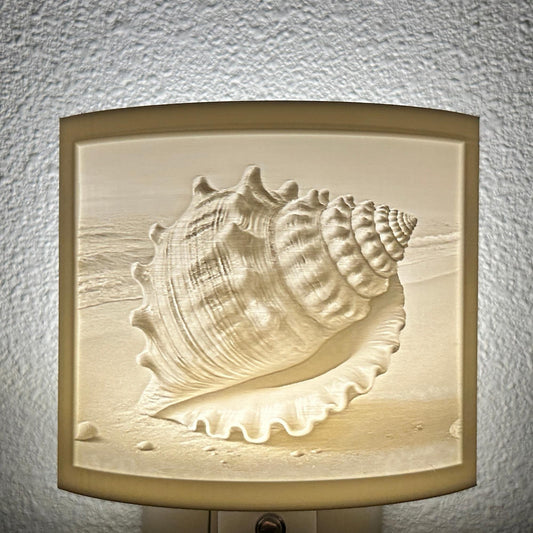 Seashell Beach Night Light