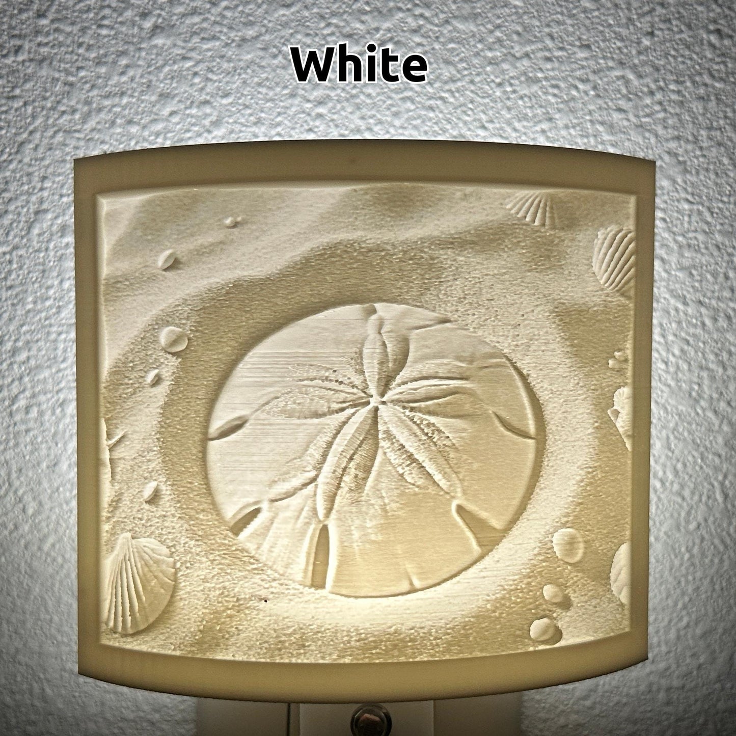 Sand dollar Night Light