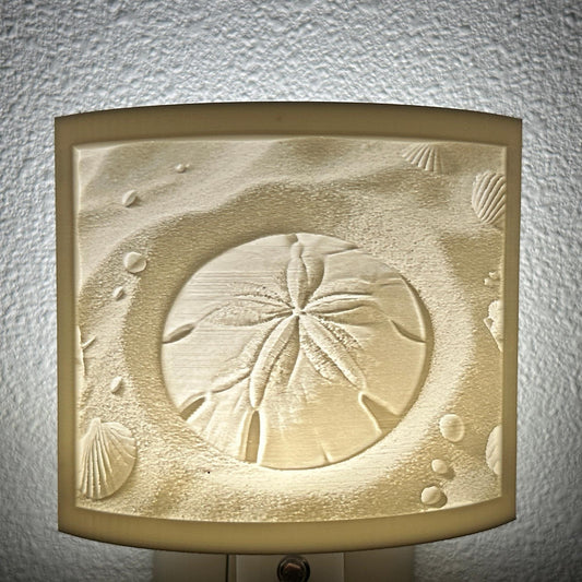 Sand dollar Night Light