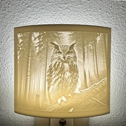 Owl Night Light