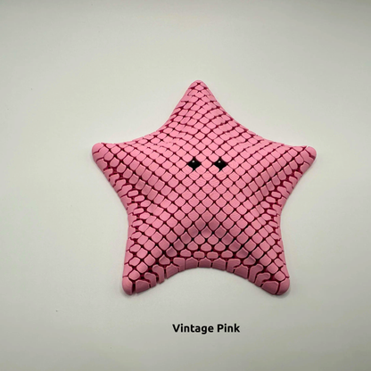 Sea Star Sensory Fidget