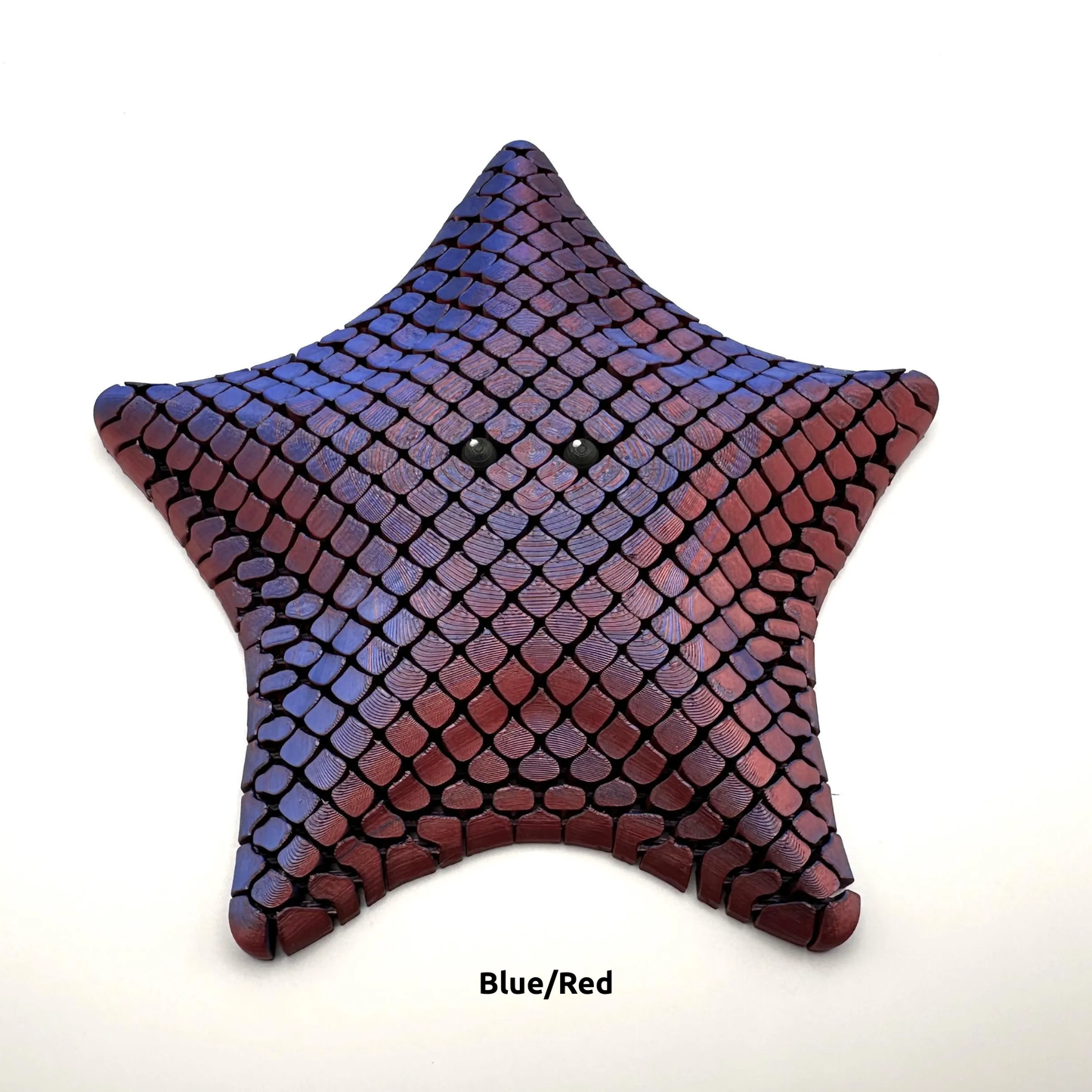 Sea Star Sensory Fidget