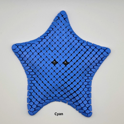 Sea Star Sensory Fidget