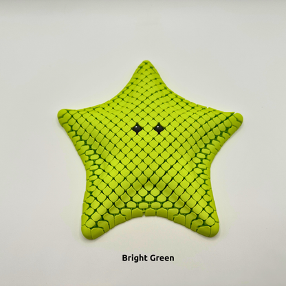 Sea Star Sensory Fidget