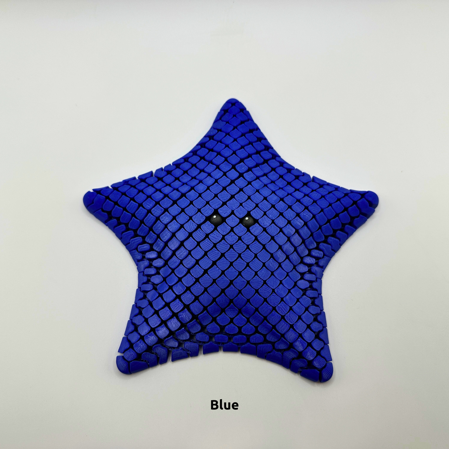 Sea Star Sensory Fidget