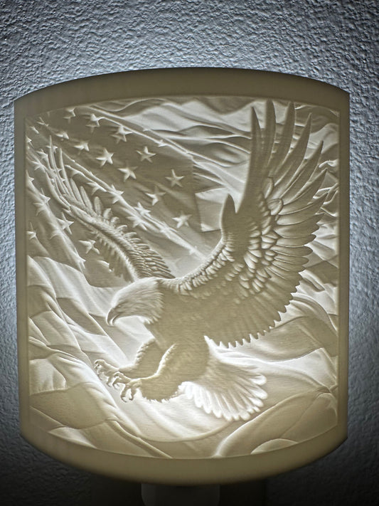 Beautiful Bald Eagle Night Light