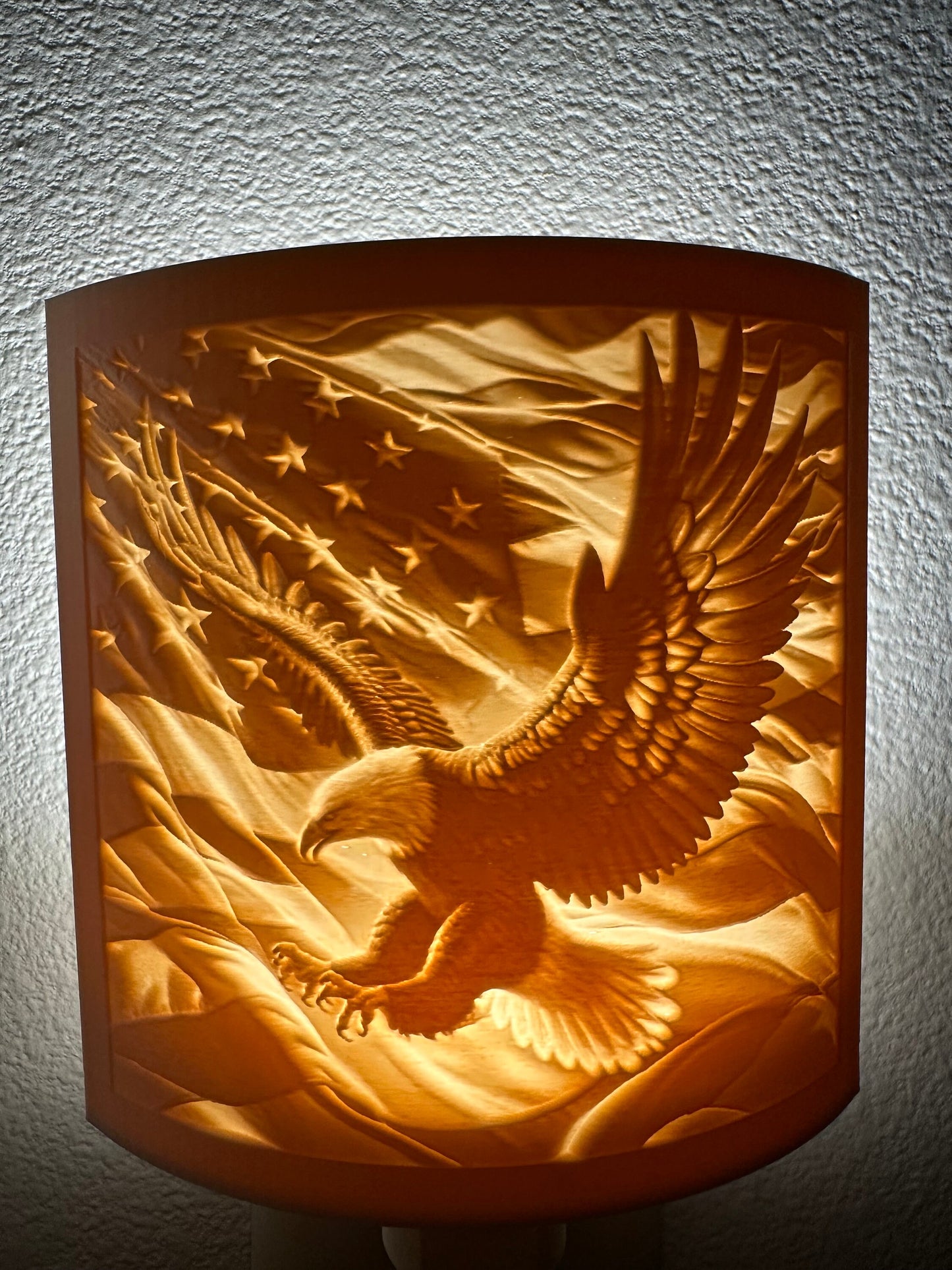 Beautiful Bald Eagle Night Light