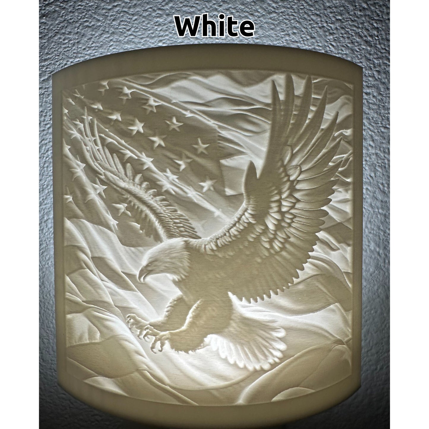 Beautiful Bald Eagle Night Light