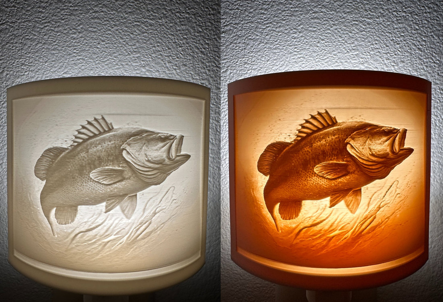 Outdoors Collection Night Light - Bass