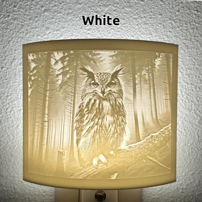Owl Night Light