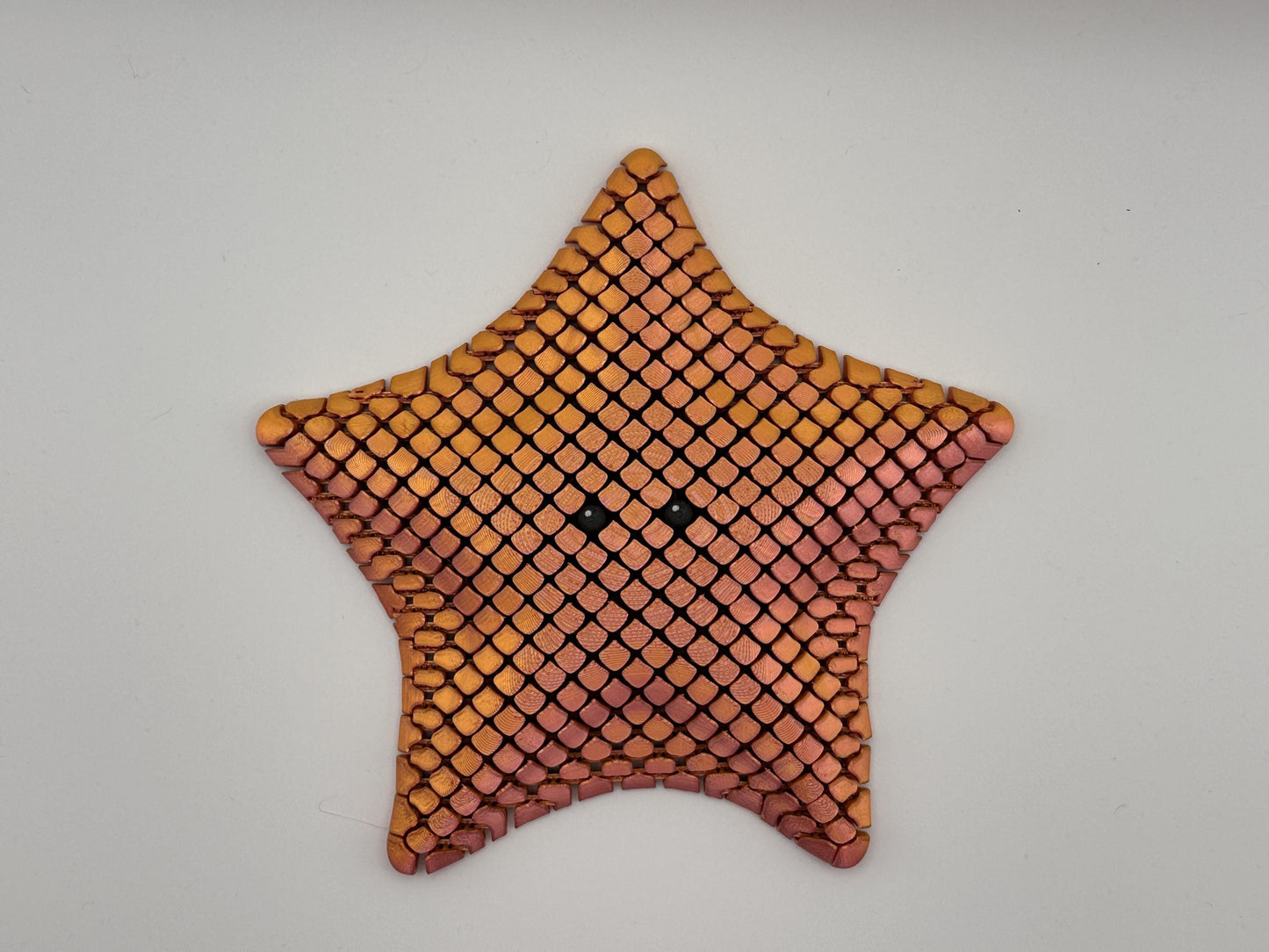 Sea Star Sensory Fidget