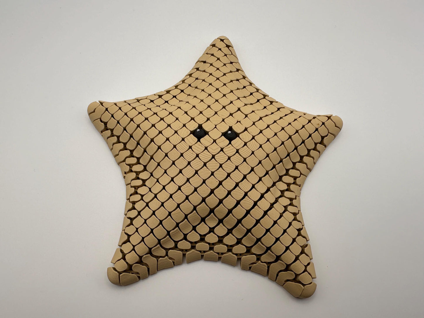 Sea Star Sensory Fidget