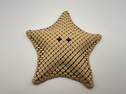 Sea Star Sensory Fidget
