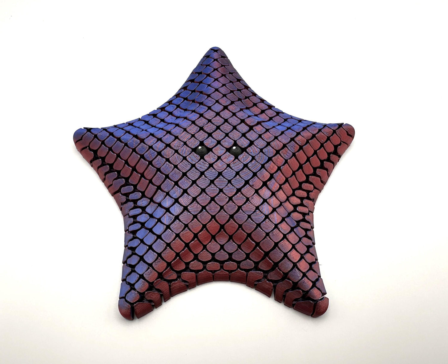 Sea Star Sensory Fidget