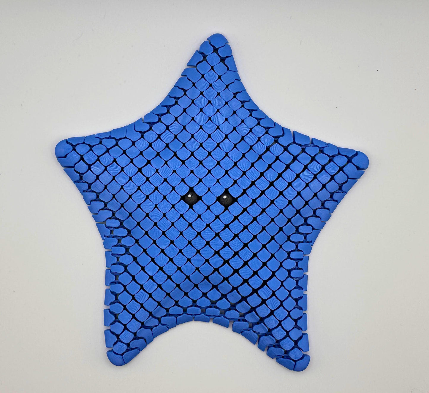 Sea Star Sensory Fidget