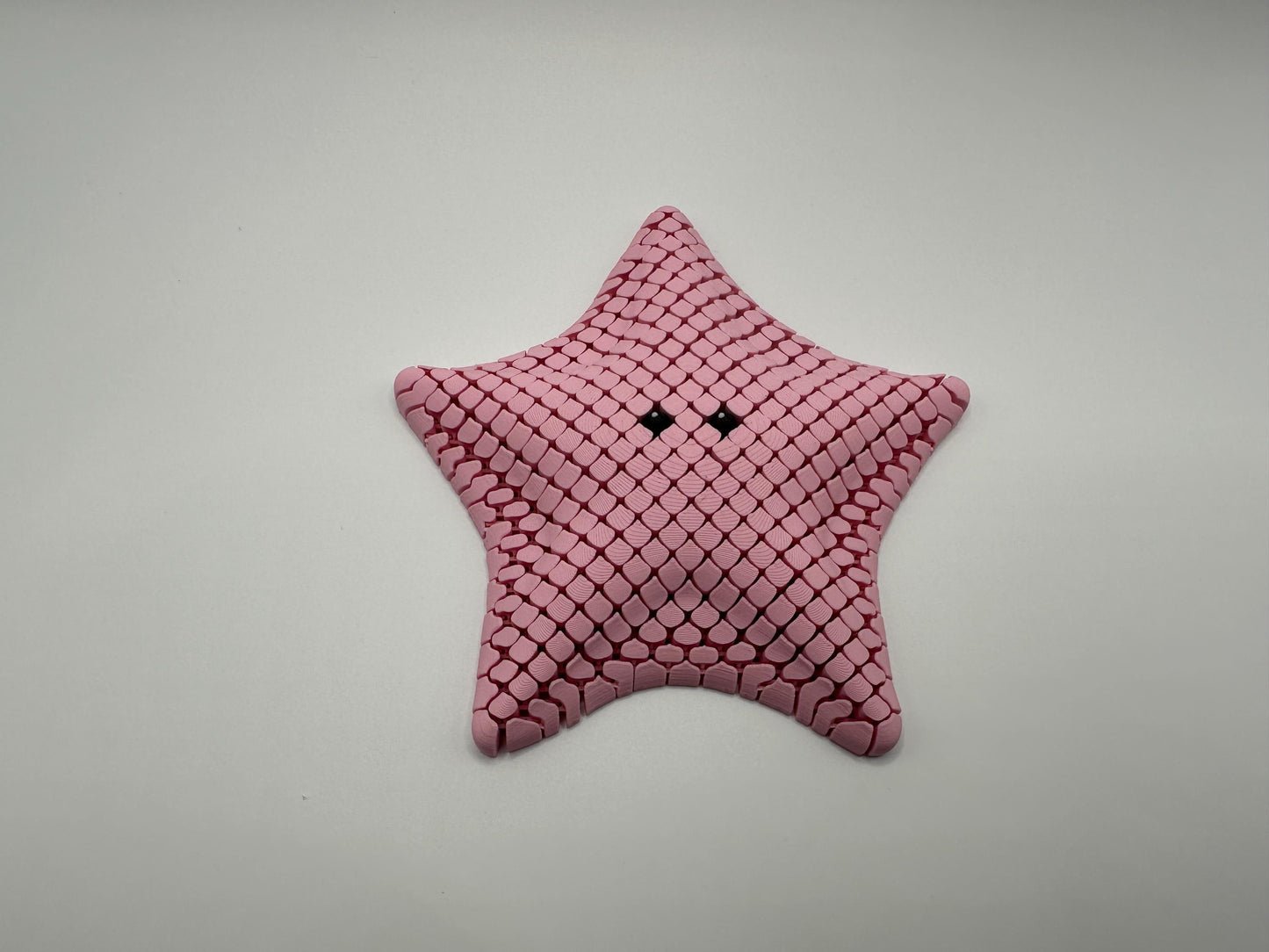 Sea Star Sensory Fidget