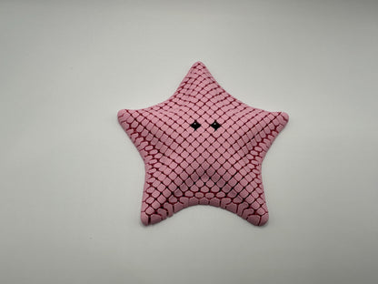 Sea Star Sensory Fidget