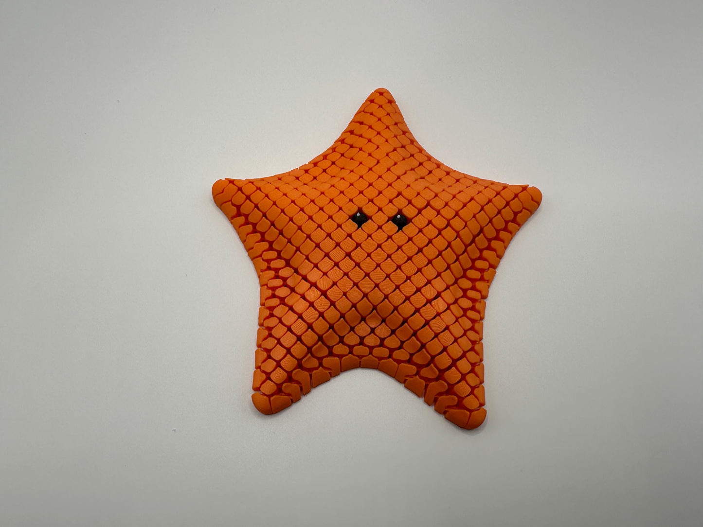 Sea Star Sensory Fidget