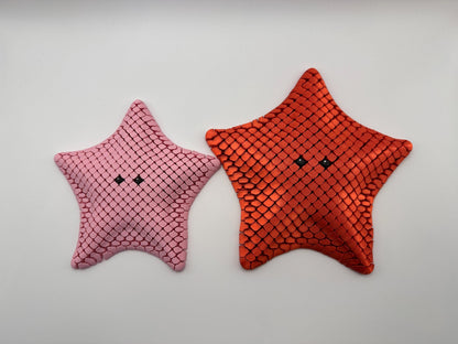Sea Star Sensory Fidget